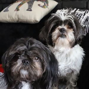 Meet your Posher, Maria